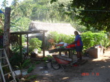 TalaThumb0009.jpg