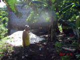 TalaThumb0010.jpg