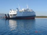 TalaThumb0035.jpg
