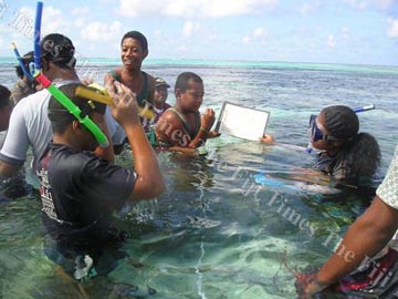 Sea Grass Exploration on Rotuma