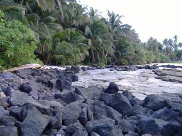 Oinafa shoreline