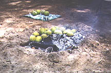 photo: breadfruit cooking