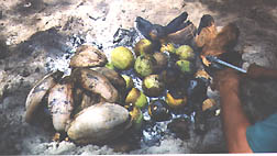 photo: breadfruit cooking